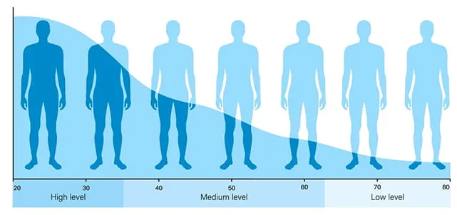 Testo Level Graph